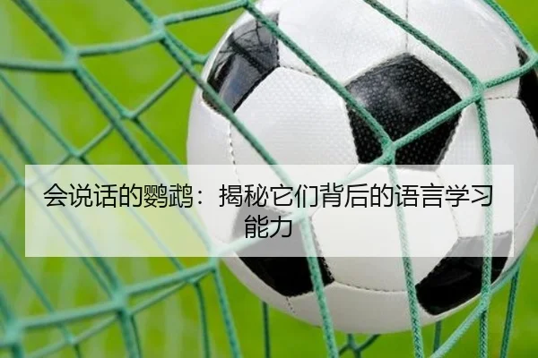 会说话的鹦鹉：揭秘它们背后的语言学习能力